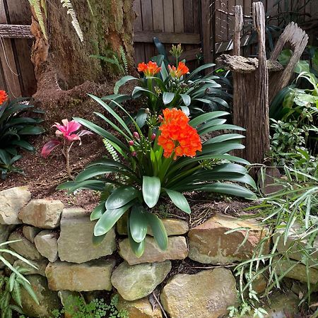 Surgeon'S Cottage Morpeth Екстериор снимка